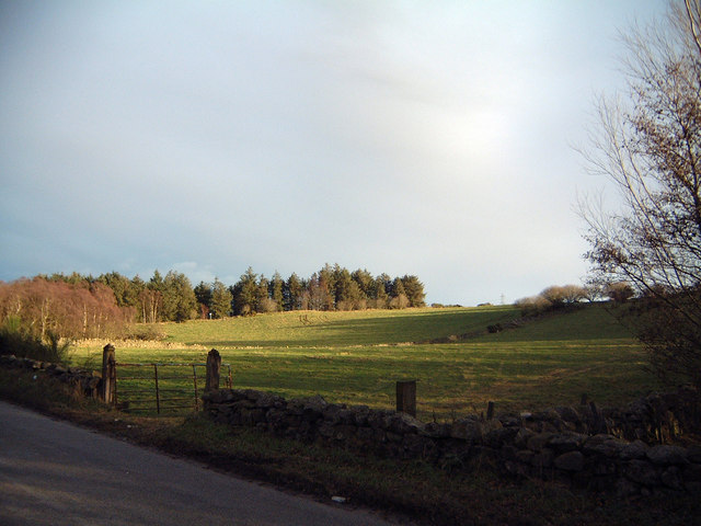 View to Foulcausey Brae
