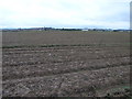 Muddy Field and Toll Road