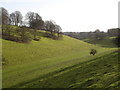 Tinkley Bottom near Munday