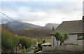 Palm trees a thousand feet up a Welsh mountain