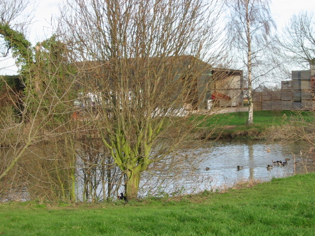 Pond at Walmestone.