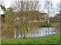 Pond at Walmestone.