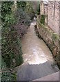 Stream downstream of Newmillerdam, off Barnsley Road, Crigglestone