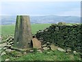 Trig pillar on Mynydd Drumau