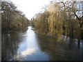 River Colne in Uxbridge Moor