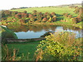 Leek Branch, Caldon Canal