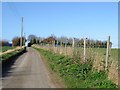 Looking NW along road from Britton Farm.