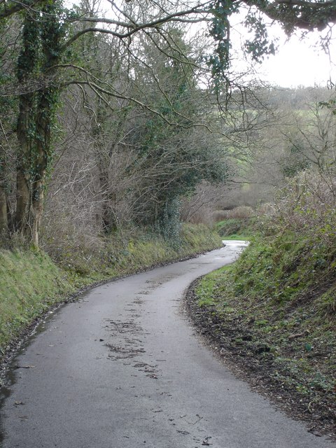 Down Berry Wood Lane