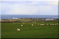 View from Braco Park Farm towards Rosehearty.