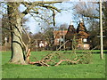 Storm damaged tree and oast house, Littlebourne.