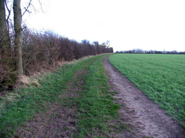 Field track