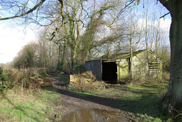 Shed by the Bridleway