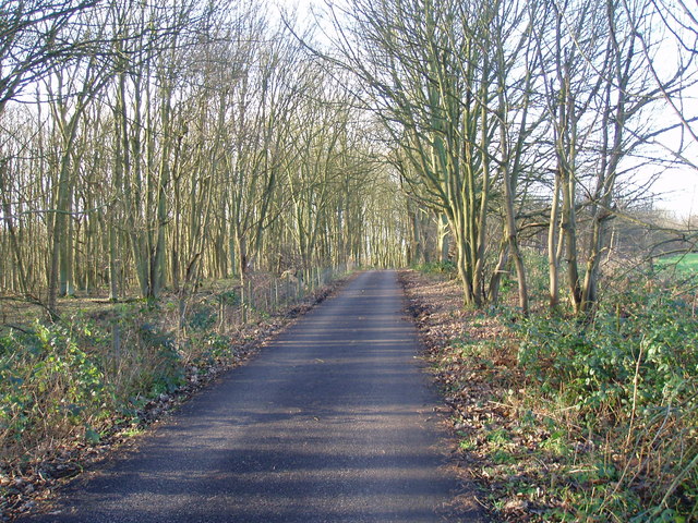 Minor road through Ratby Burroughs