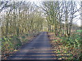 Minor road through Ratby Burroughs