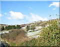 View upslope from Bron-y-fferam towards Maes Eilian estate