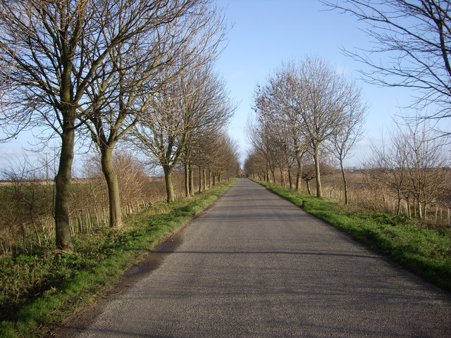 The Road To Gedney Drove End