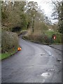 Road crossing the stream