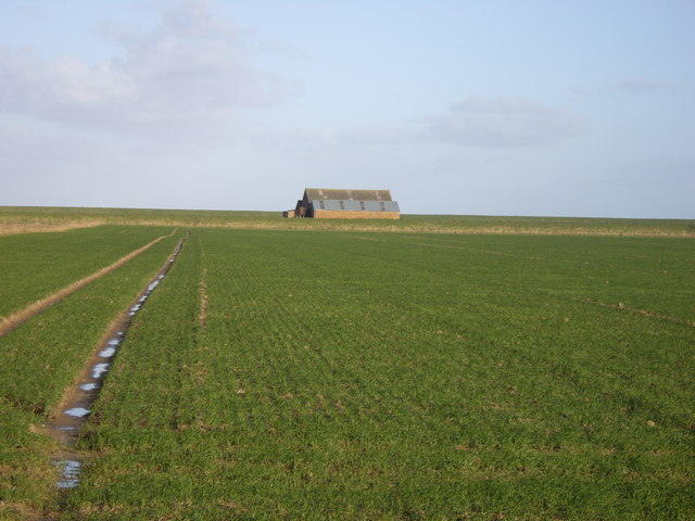 Field and Farm Building, Gedney Drove End