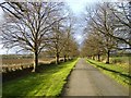 Entrance drive, Sheldon Manor