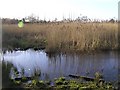 Lough Skitter, Omagh