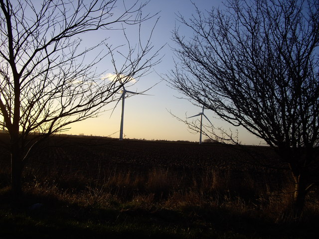 Wind Farm through the trees, Cardwell Farm