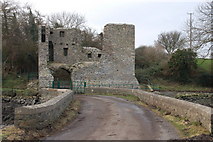 J5263 : Mahee castle, Strangford Lough by Albert Bridge