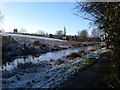 Frozen Canal