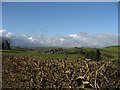 Towards Pentre