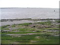 Sandstone shore near Bromborough