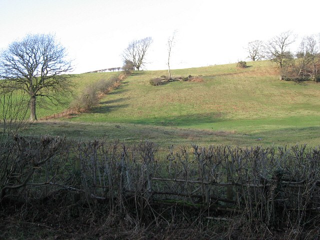 A Small Hill Pasture