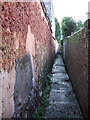 Alley behind East Grove Road, Exeter