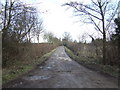 Unnamed track into the marshes