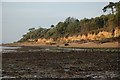 Cliffs in Stanswood Bay