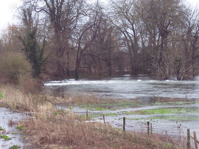 River Avon at Ibsley