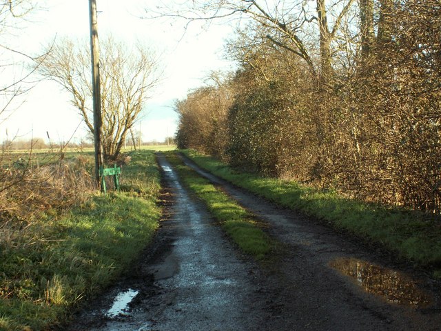 Road to Greenwood Farm