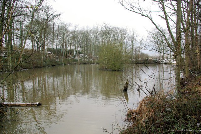 Pond in the Wadhurst Clay