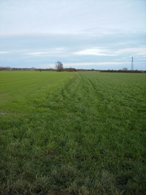 Little used footpath across agricultural land to Seamer