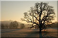 Frosty morning near New Bridge, Taw Valley, near Barnstaple.