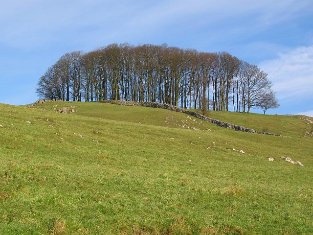 Copse and rocky outcrops