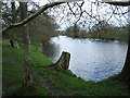 Wye valley walk in early spring