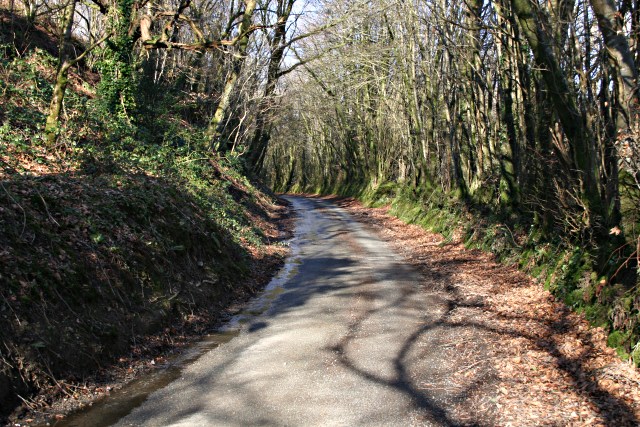 Woodland Road