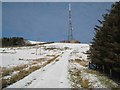 Telecommunications mast, Frosterley