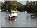 Downstream from Windsor Bridge