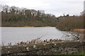 J5054 : The Clea Lakes near Killyleagh by Albert Bridge