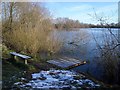 Pond Dipping Platform in Harrold Odell Country Park