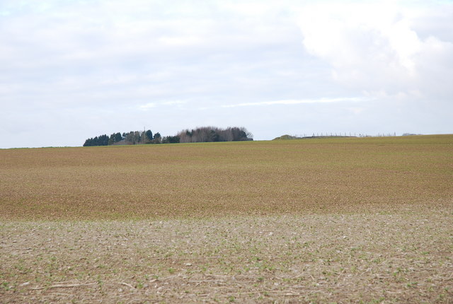 Farming on Tarrant Rushton airfield
