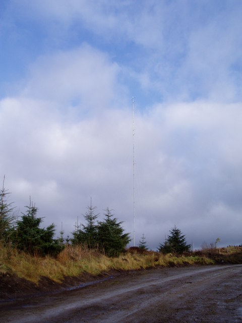 Telephone mast in Clocaenog Forest