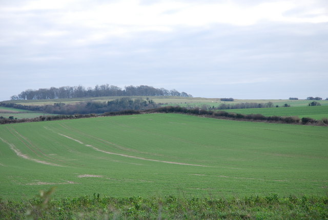 View towards Badbury Rings