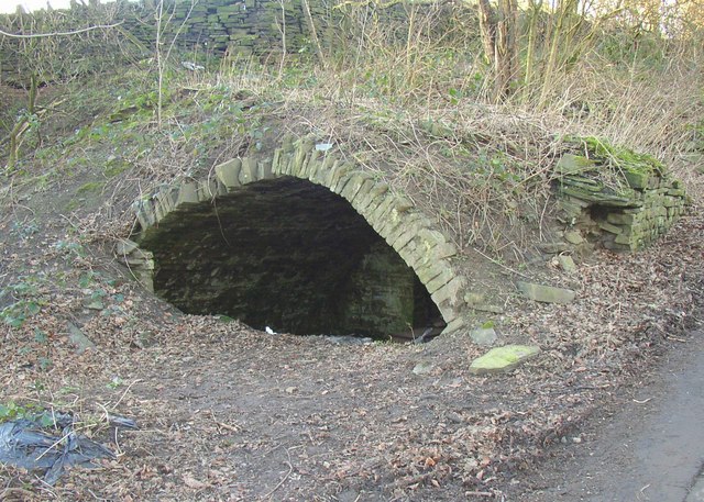 Vaulted cellar, Shepherds Thorn Lane,... © Humphrey Bolton cc-by-sa/2.0 ...