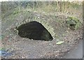 Vaulted cellar, Shepherds Thorn Lane, Rastrick